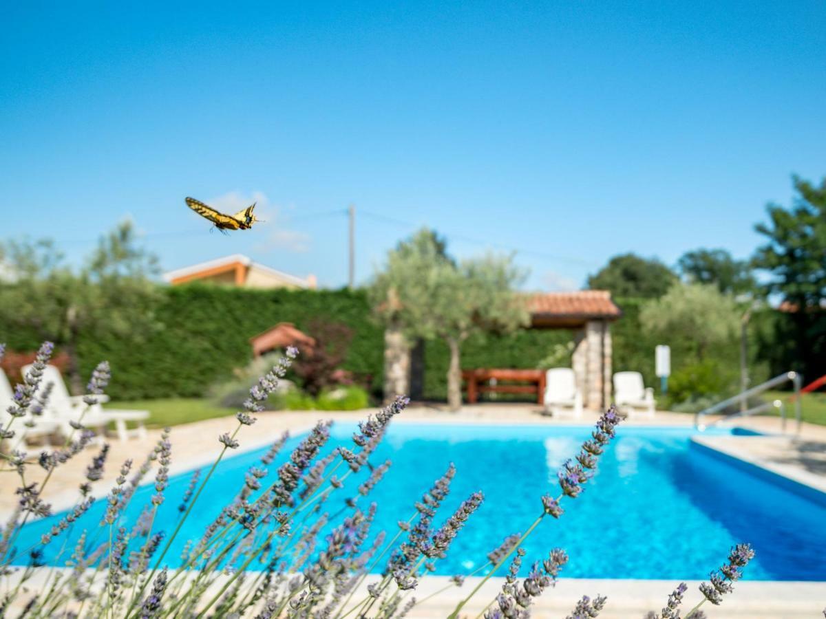 Holiday Home Tommy By Interhome Gedići Dış mekan fotoğraf